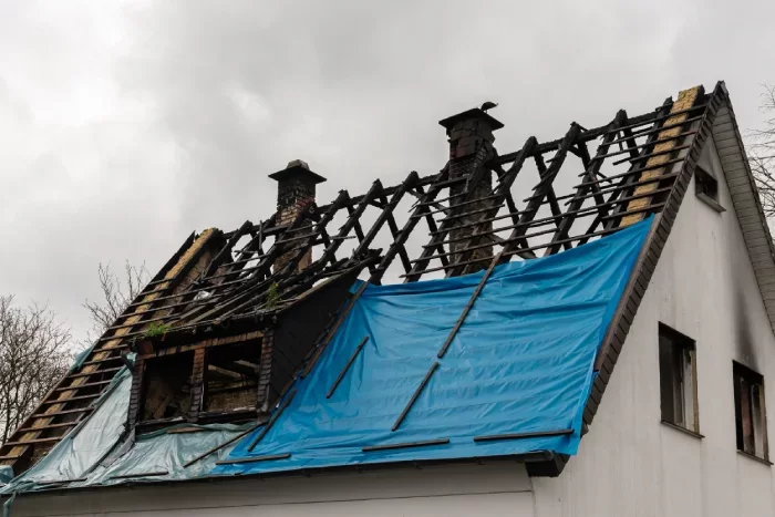 Une expertise depuis 2006